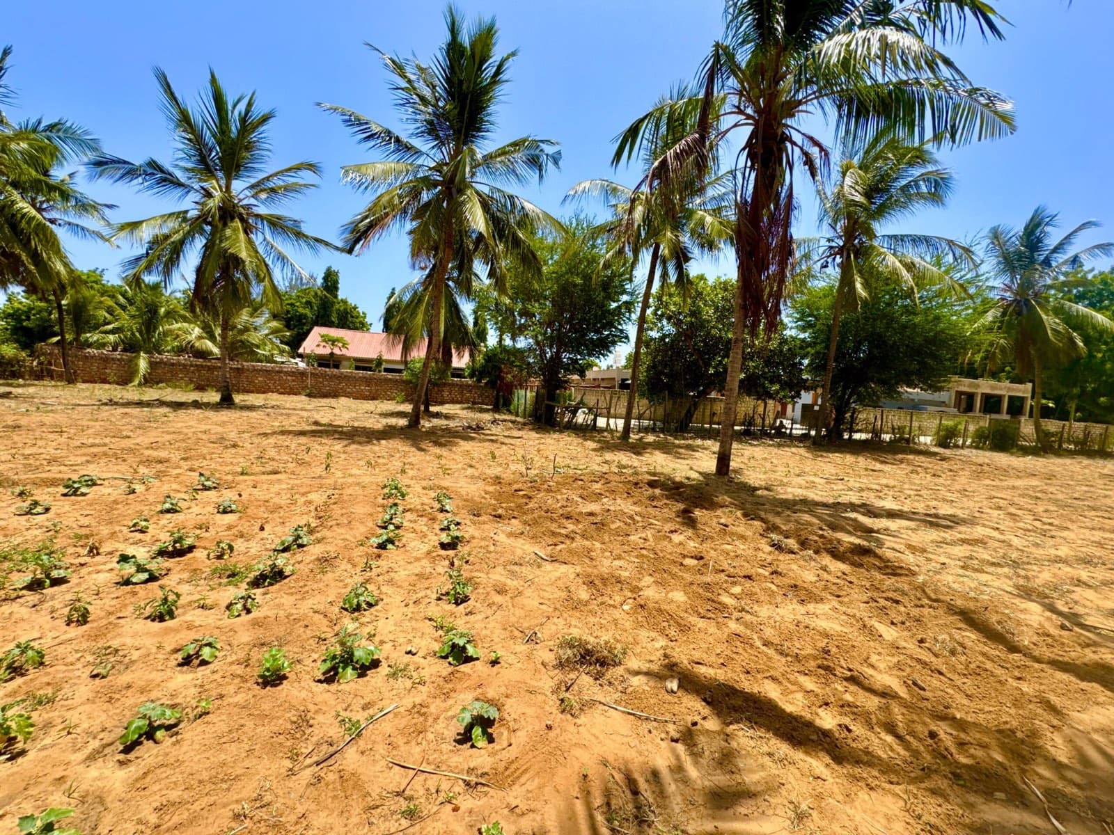Panorama across the Kilifi holding