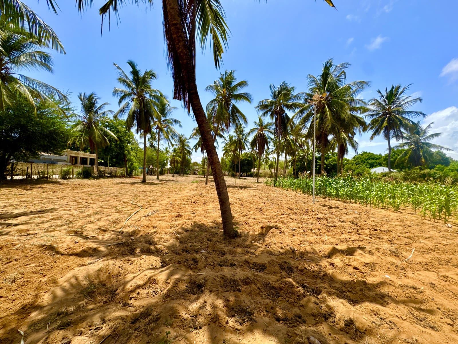 Kilifi county, on the Kenya coast
