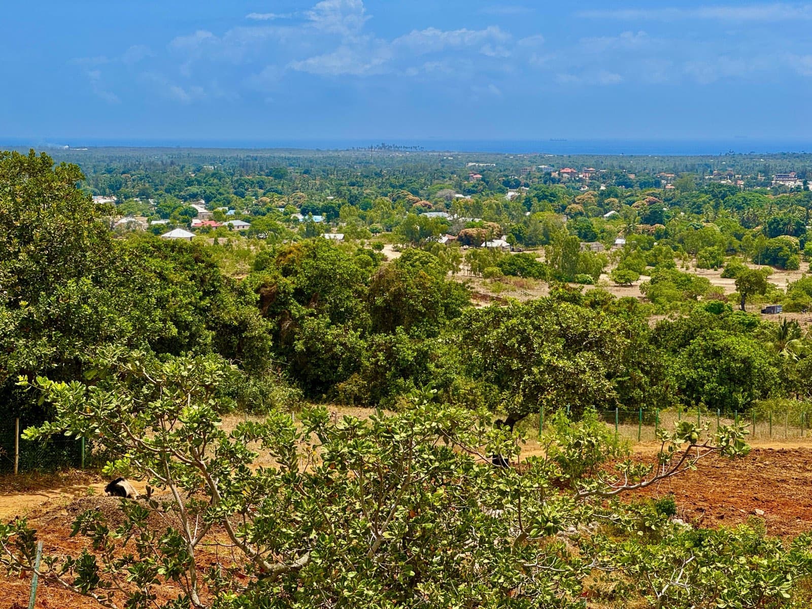 Kwale county, on the Kenya coast