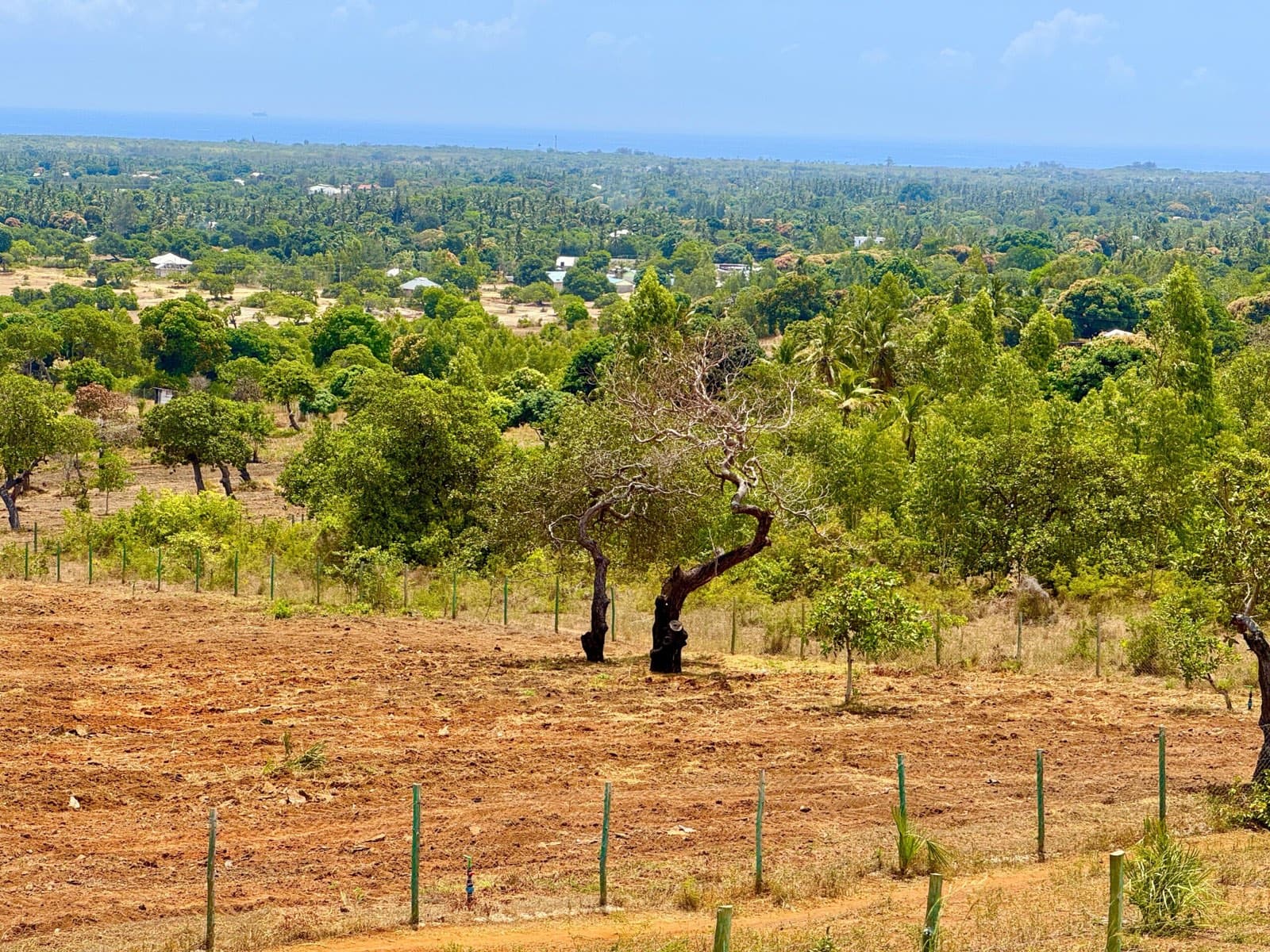 Aerial view of the Kwale holding