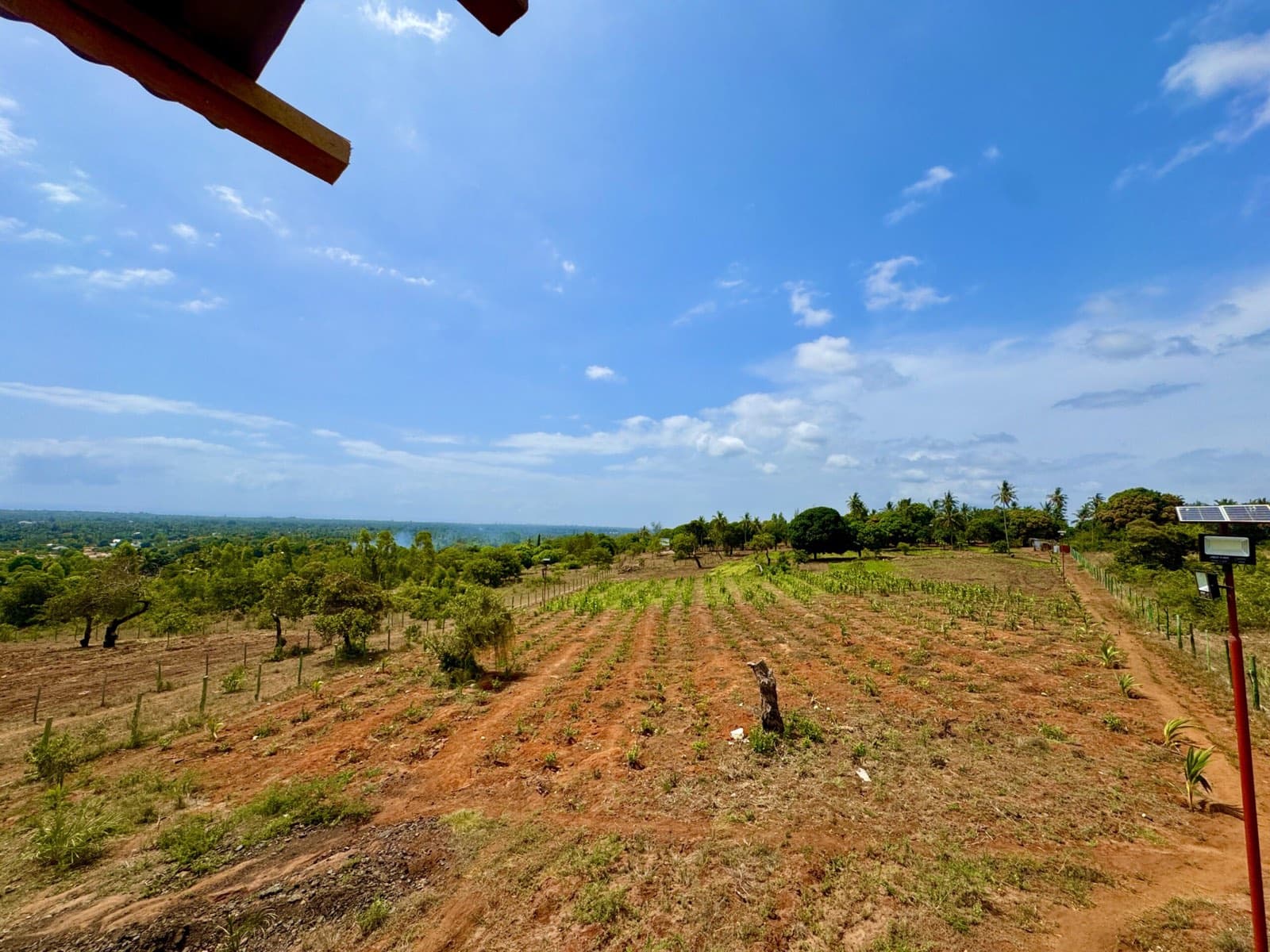 Open fields at Kwale