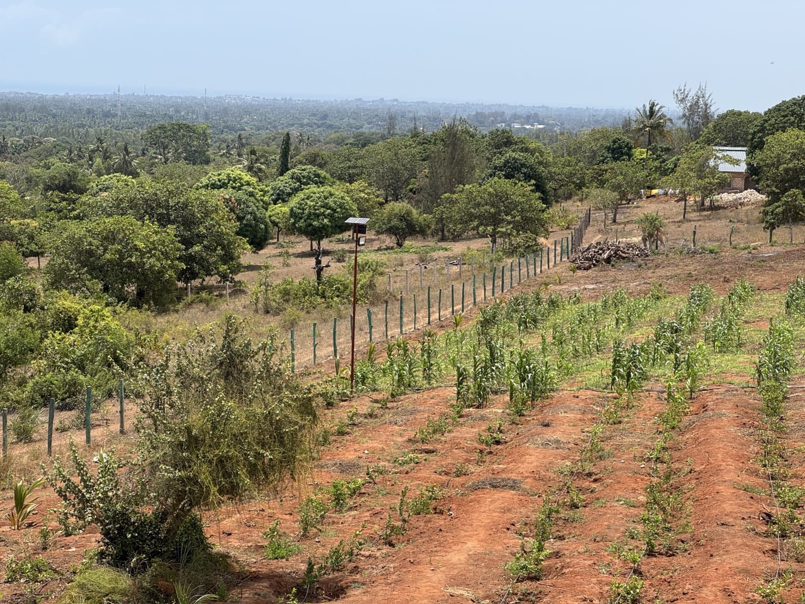Landscape across the Kwale holding
