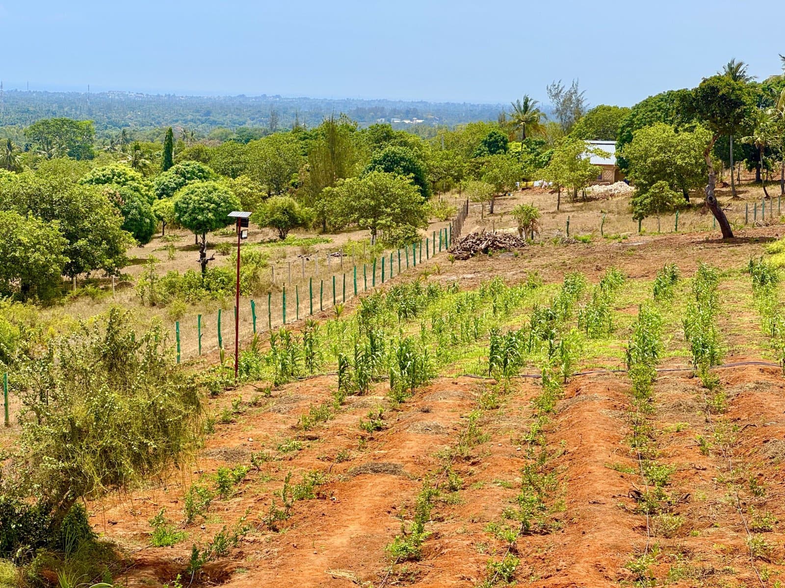 Sloping terrain at Kwale