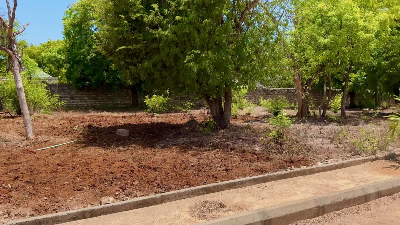 Kilifi · on site — Walking the plots
